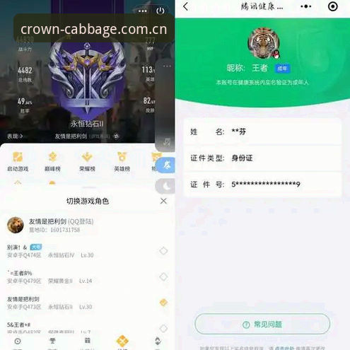 冠军白菜电脑版iOS版 揭秘冠军白菜电脑版iOS版:老用户亲测,这些隐藏功能你绝对不知道