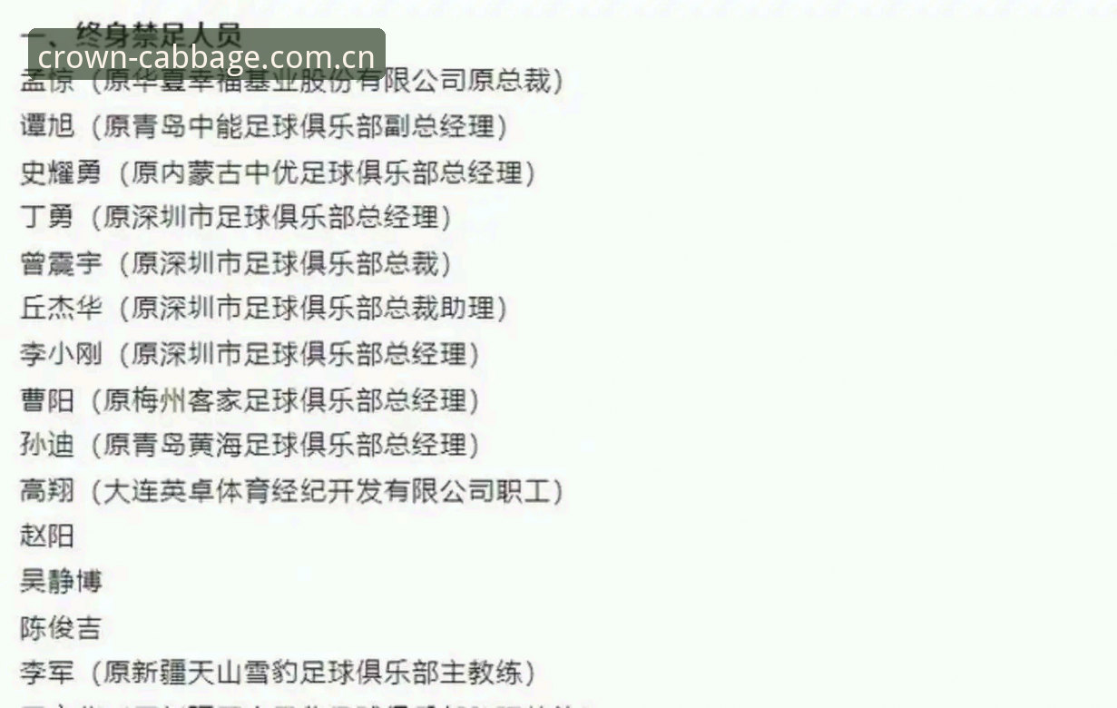 冠军白菜手机版必备 资深用户分析足协第三批禁足名单背后的行业乱象,冠军白菜手机版必备观赛心得