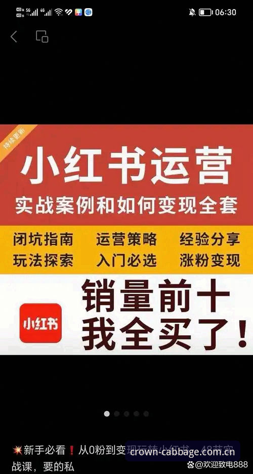 冠军白菜苹果版推荐 冠军白菜苹果版推荐深度分析:从下载到提现的完整实战指南